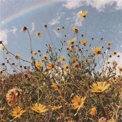 地震把菲律宾架在火上烤，马科斯情绪复杂，不知该不该向中方求援